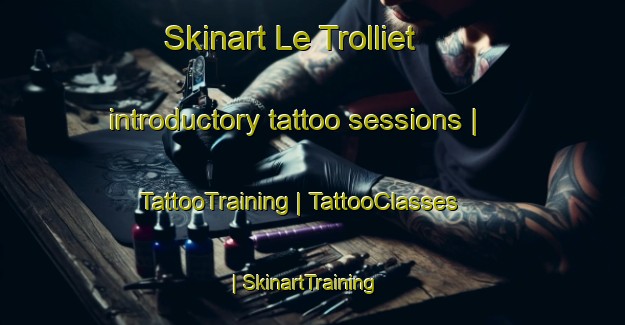 Skinart Le Trolliet introductory tattoo sessions | TattooTraining | TattooClasses | SkinartTraining-France